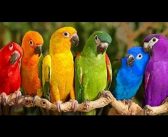 Μας παίζουν τον «παπά» η Κυβέρνηση και η Διοίκηση του ΕΦΚΑ