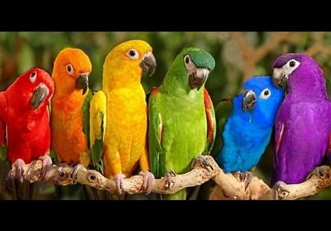 Μας παίζουν τον «παπά» η Κυβέρνηση και η Διοίκηση του ΕΦΚΑ