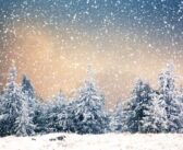 Χρόνια Πολλά – Καλά Χριστούγεννα